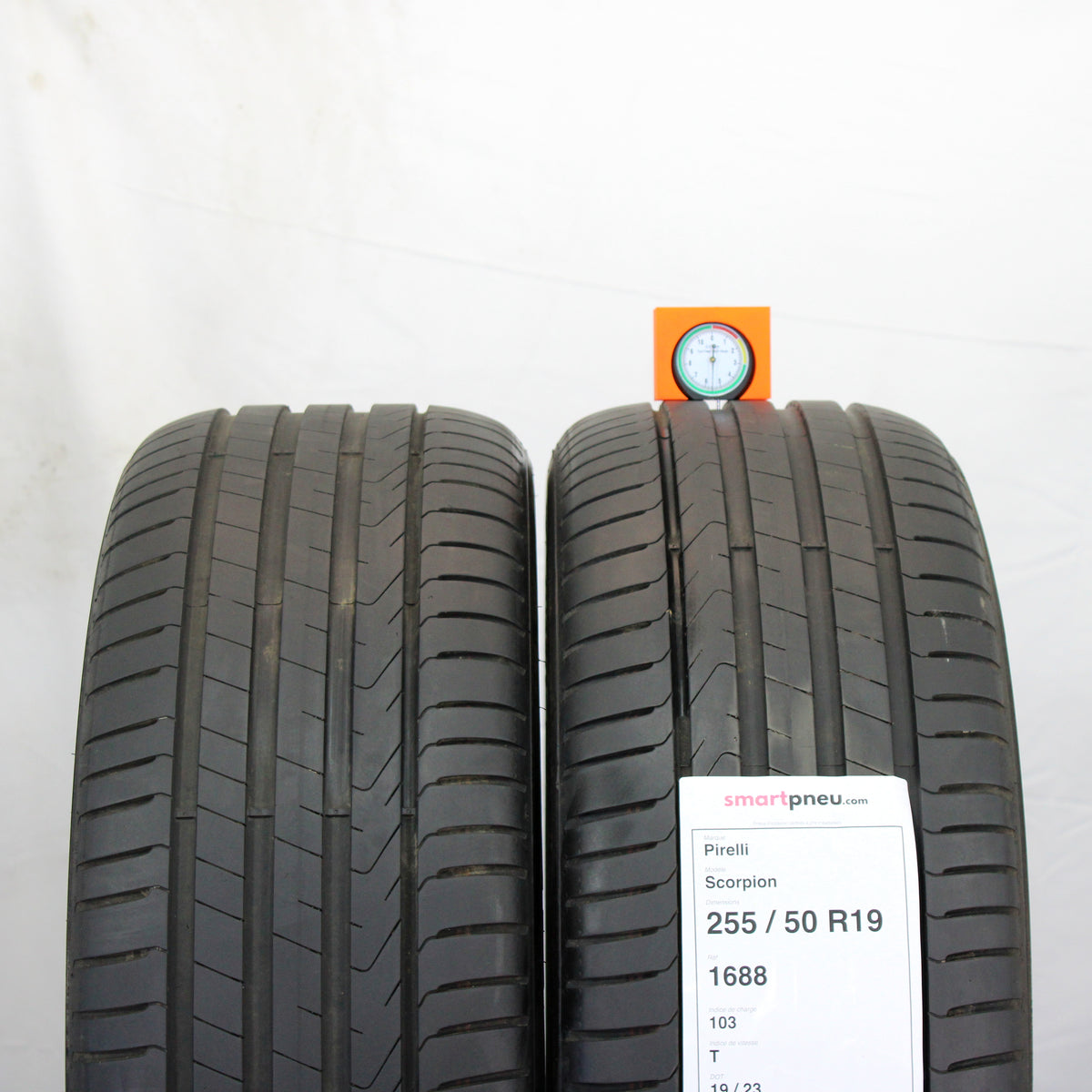 Scorpion - Image