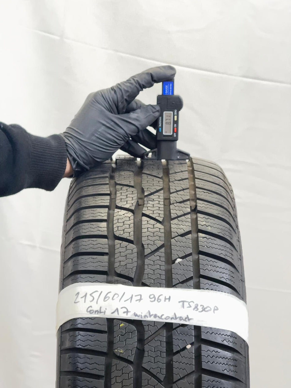 WinterContact TS830P