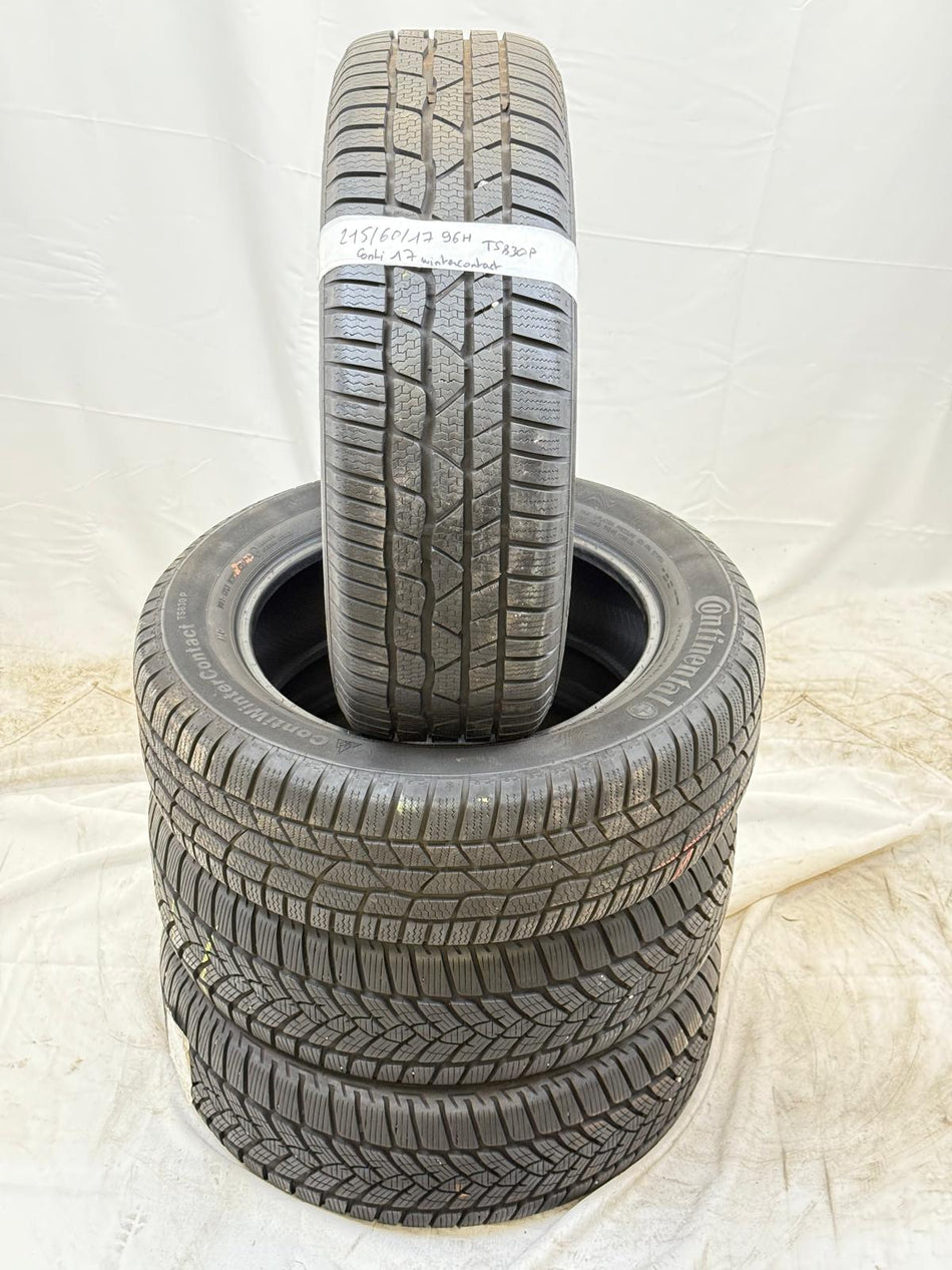 WinterContact TS830P